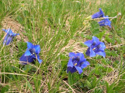 DSCN1566