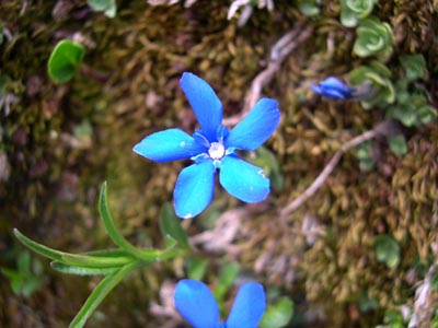 DSCN1571