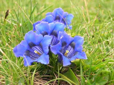 DSCN1583