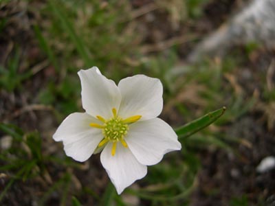 DSCN1592
