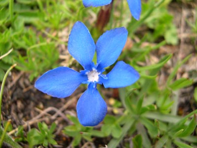 DSCN1596