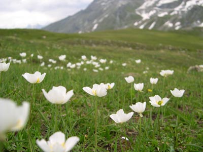 DSCN1620