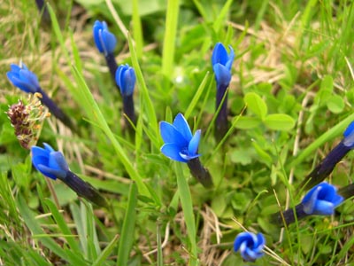DSCN1626